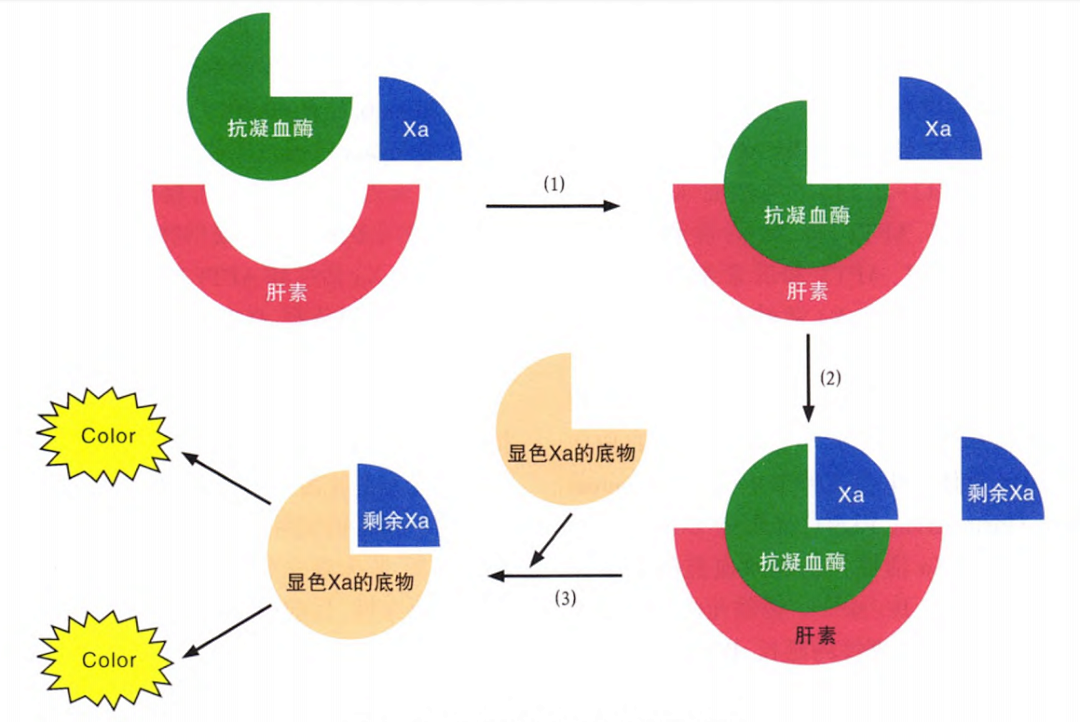 國產(chǎn)抗Xa質(zhì)量如何？多中心臨床研究來告訴你！